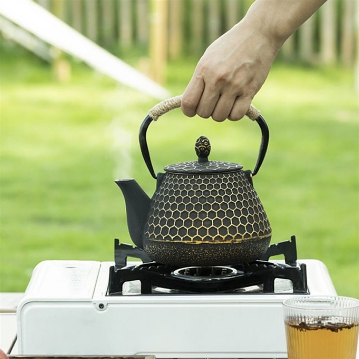Design Cast Iron Teapot